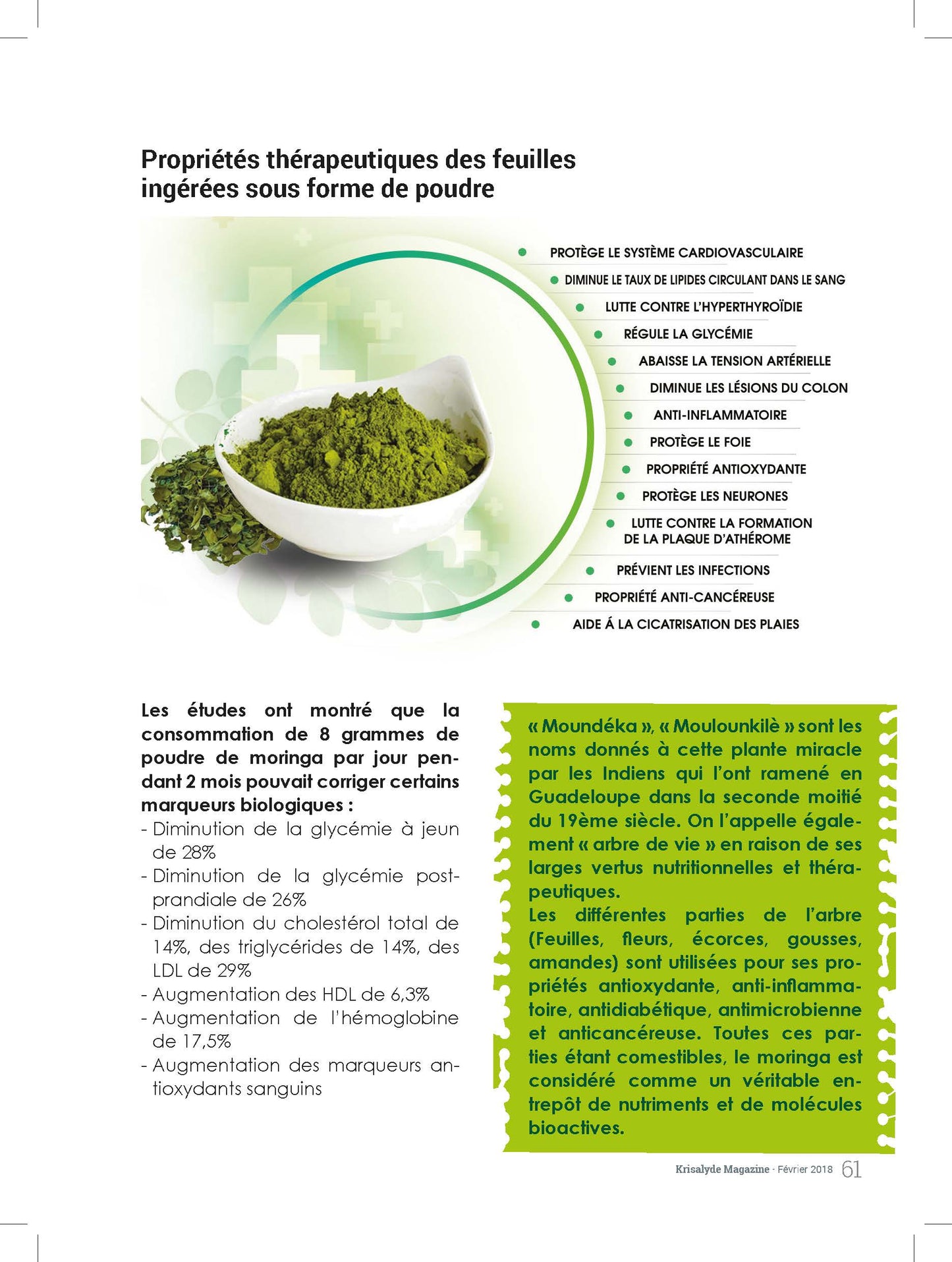 POUDRE DE MORINGA